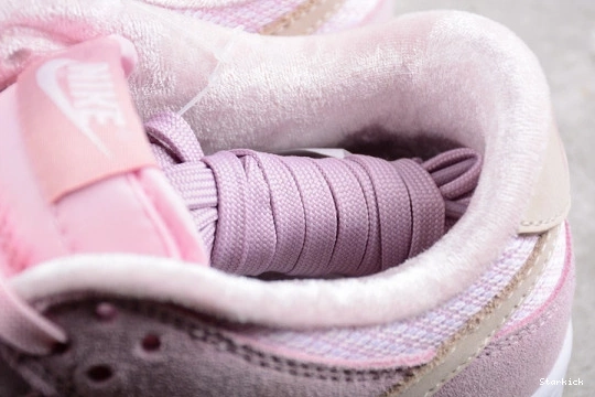 DZ5318-640 Nike Dunk Low Teddy Bear 0129